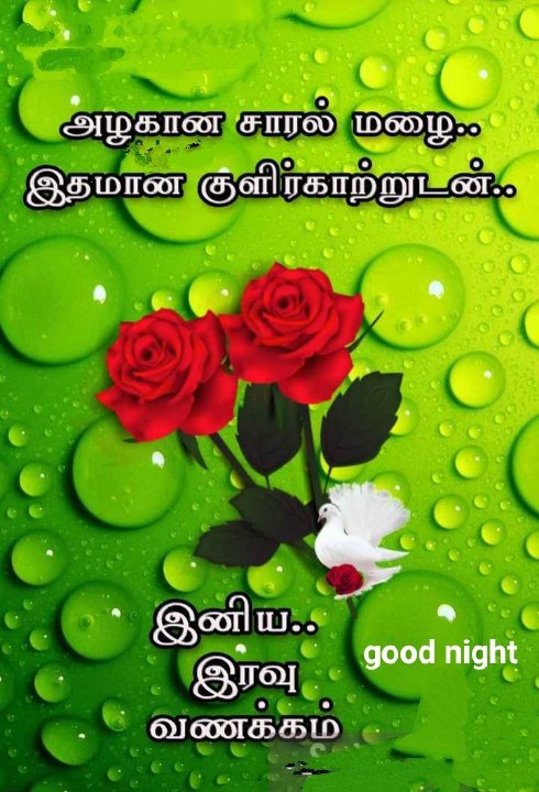 தமிழ் amr tweet media