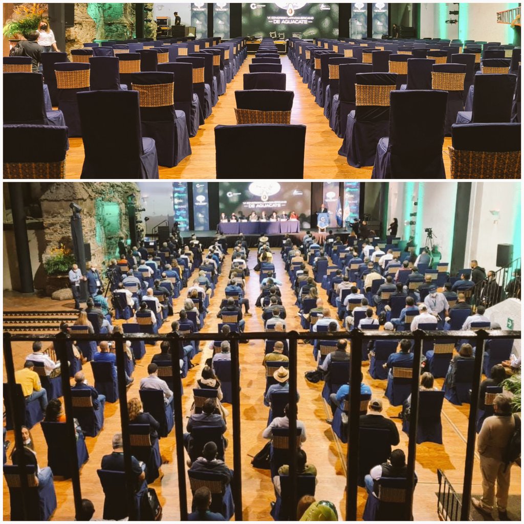 Sillas ya ocupadas por representantes latinoamericanos de la Industria de #Aguacate 🥑 HOY #Guatemala #CongresoAguacateLA  #BeyondExpectationsGT 
eventos internacionales regresan en formato híbrido con participación presencial internacional.
Se acerca #AGRITRADE2022 <a href="/AGRITRADECA/">AGRITRADE</a>
