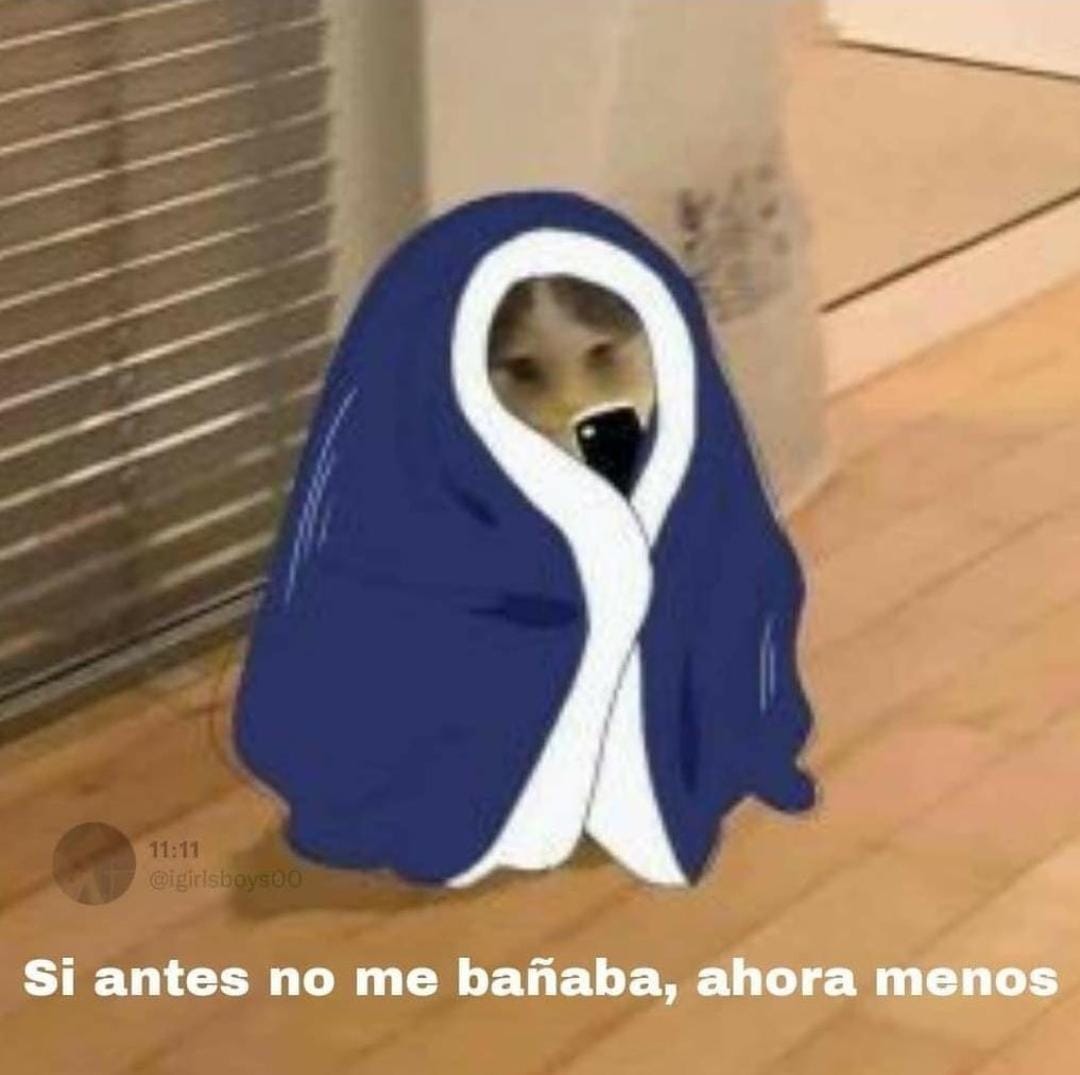pao_sasso's tweet photo. Mis pollitos 🐥😍😘
Que tengan un super ganador día...

Empiecen el día, riendo conmigo #Memes

¡LOS AMO!❤💋 #FelizMiercoles #PaoSasso #barbiesasso https://t.co/HQ59ZvhOu6