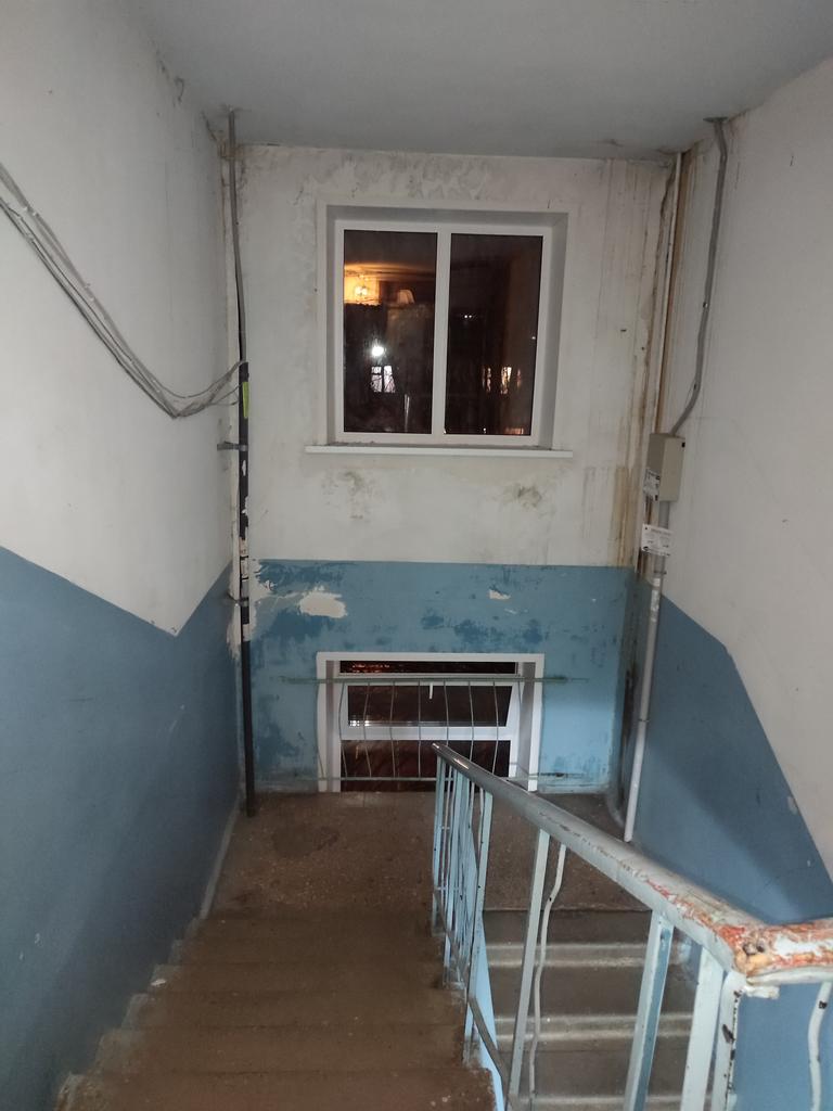 Daria Yakovleva tweet media