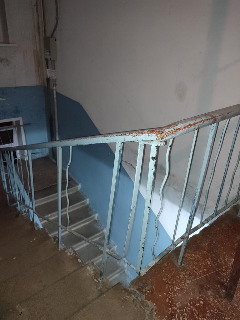 Daria Yakovleva tweet media