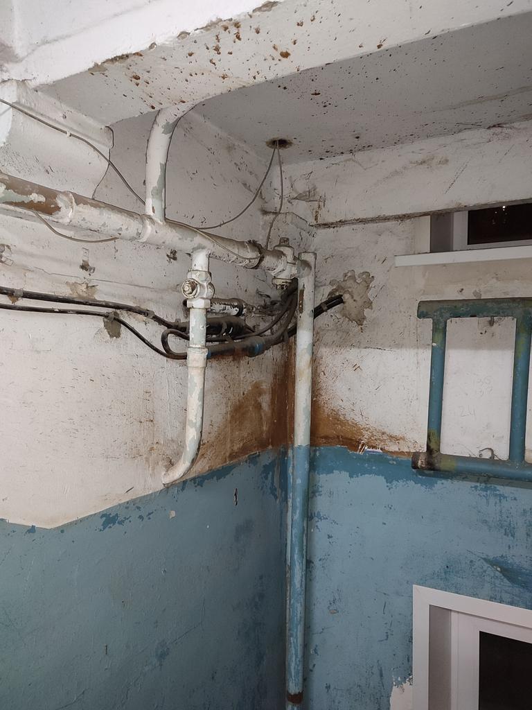 Daria Yakovleva tweet media