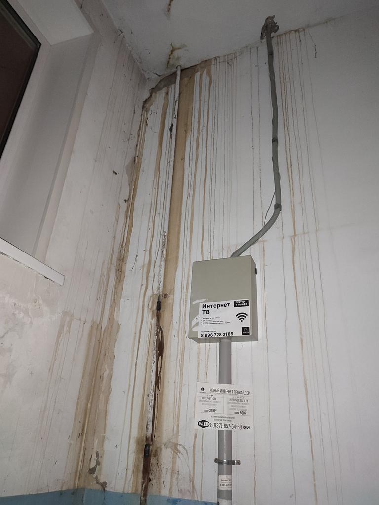 Daria Yakovleva tweet media