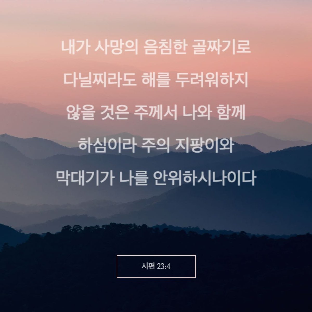 bellpie1 tweet picture
