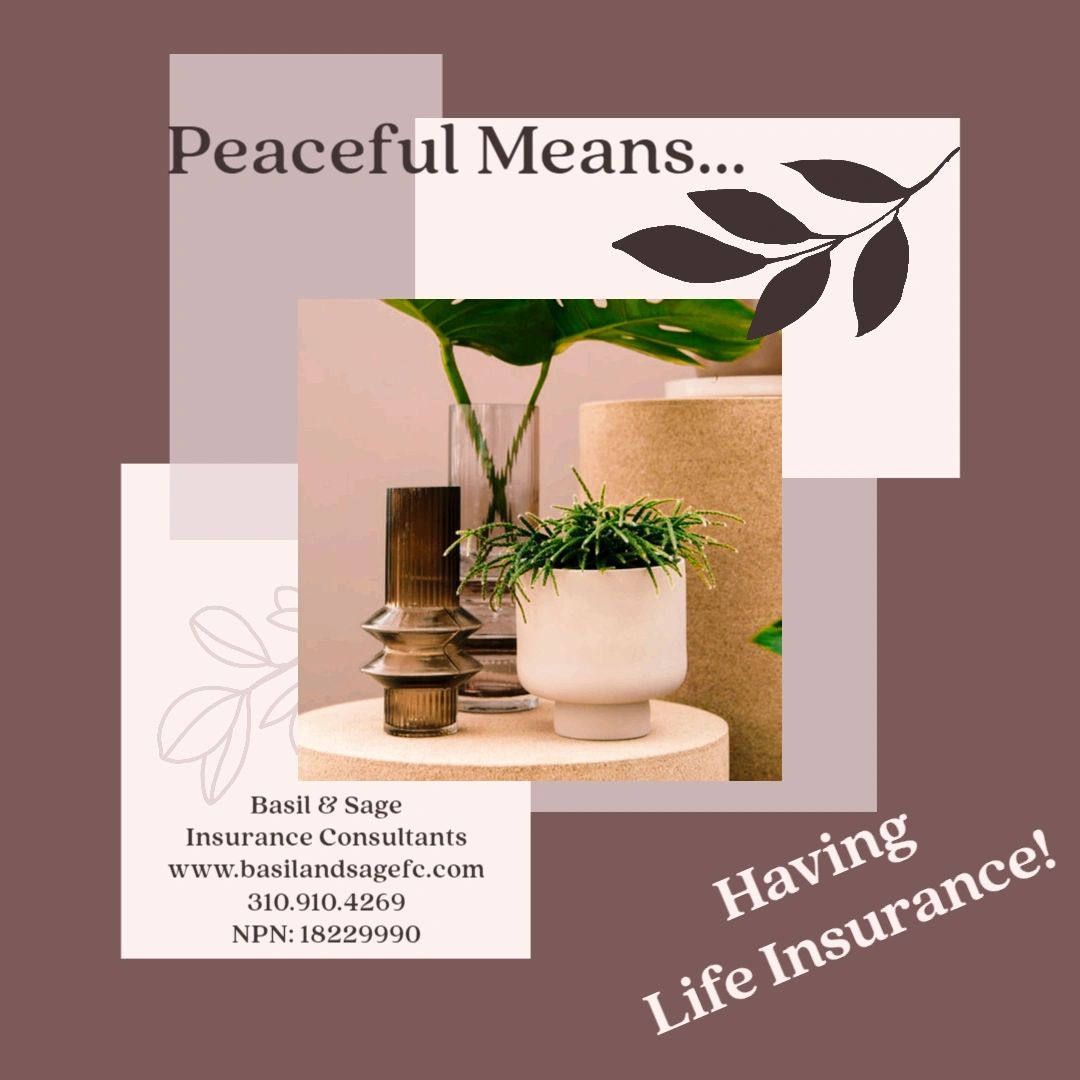 BasilandSageFC's tweet photo. Make Sure Your Life is Peaceful...
Schedule an appointment -https://t.co/3rpVx1pid8
or apply online - https://t.co/o9xBZAEp9R
#lifeinsurance #lifeinsurancesaveslives #protectyourfamily https://t.co/FIMcwJfKZZ