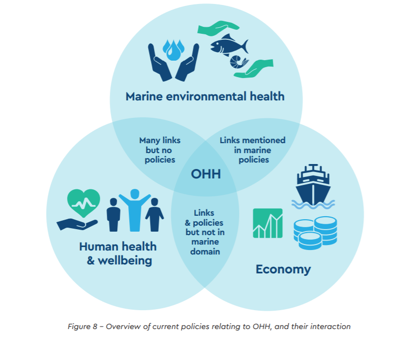 Beth_Roberts13's tweet photo. Our #new @OceansHealthEU paper is out and open access. Find out European citizens #economic, #environmental and public #health attitudes towards 5 key Blue Growth maritime activities.
 https://t.co/TifN0vnUQn https://t.co/CHCzJRq2My