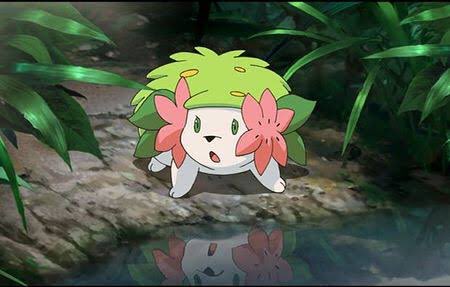 I T 劇場版シェイミ ランドフォルム声可愛いしツンデレ可愛いしぽにょぽにょした体も可愛いし最高 スカイフォルム は可愛さの中に凛々しさもあって自信満々天真爛漫可愛いし最高 T Co Mvuqcpfskd Twitter