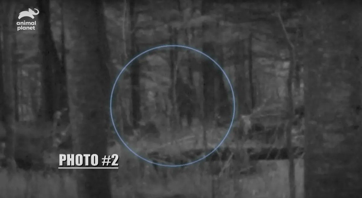 WonkyTimes's tweet photo. Hunter Claims He Filmed Bigfoot With Hidden Cameras. 
ARTICLE: https://t.co/uHQcUkqZ32
#bigfoot #sasquatch #wonky https://t.co/33Qwz6c6Ux