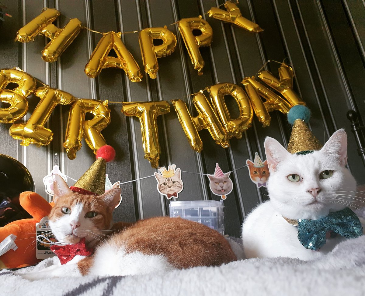 Toaster With Hair ✊🏻✊🏼✊🏽✊🏾✊🏿 tweet media