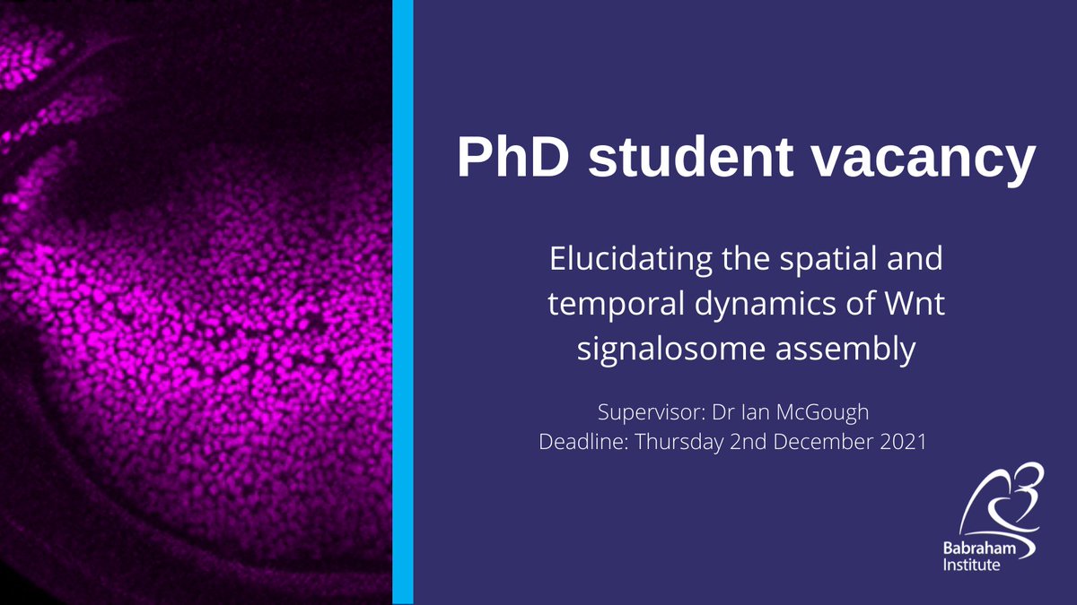 Babraham Institute (@babrahaminst) on Twitter photo PHD OPPORTUNITY: 'Elucidating the spatial and temporal dynamics of Wnt signalosome assembly' with Dr <a href="/Ian_J_McGough/">Ian McGough 🇪🇺 🇮🇪 🪰</a>
Apply by 2nd December
Find out more: ow.ly/4sGi50Gw9qB
#PhD #PhDProjects #PhDVacancies #PhDApplications #CellSignalling PHD OPPORTUNITY: 'Elucidating the spatial and temporal dynamics of Wnt signalosome assembly' with Dr <a href="/Ian_J_McGough/">Ian McGough 🇪🇺 🇮🇪 🪰</a>
Apply by 2nd December
Find out more: ow.ly/4sGi50Gw9qB
#PhD #PhDProjects #PhDVacancies #PhDApplications #CellSignalling