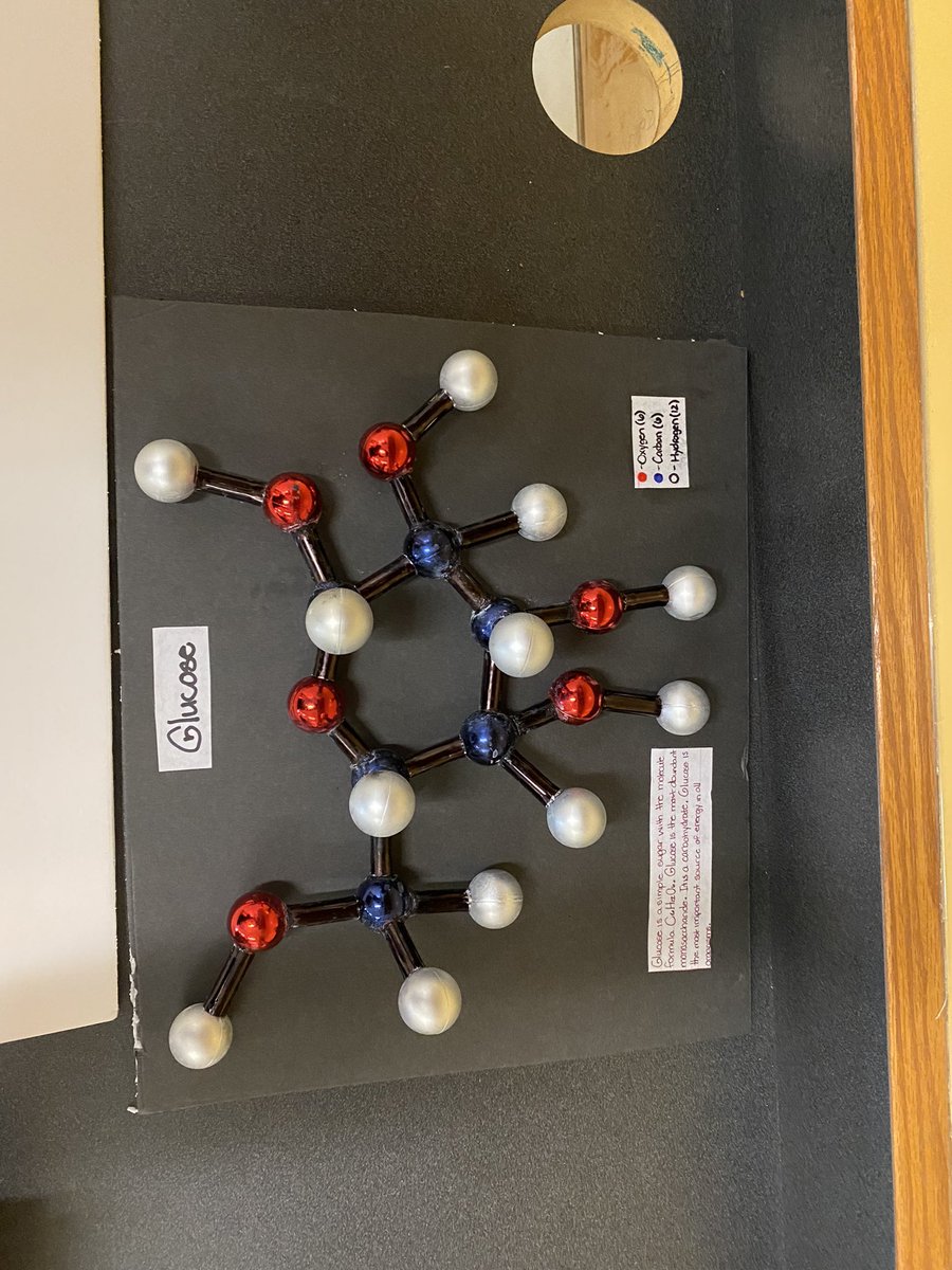 KatelynLeitner1's tweet photo. Check out the amazing projects done by Ms. Liddle’s Biology and Anatomy students at KFHS! The detail is impeccable! 🫀🧬 #scienceinspires #BuildingTheBestSPS https://t.co/TwRk0V9TIS