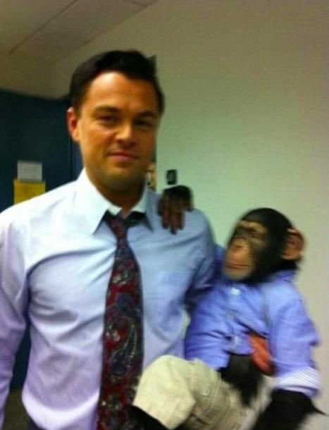 Happy birthday leonardo dicaprio 