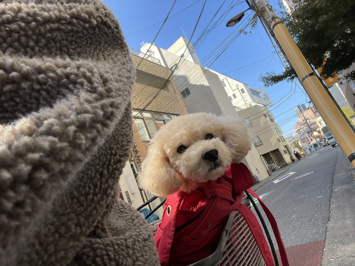 tocch09's tweet photo. からの
先日の自転車デート🚲❤︎ https://t.co/QkG1oSgRW8