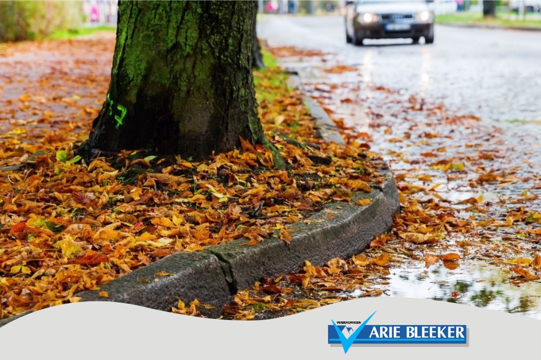 Afgevallen bladeren en vochtig weer zorgen voor gladheid op wegen en fietspaden! Wees alert en houd rekening met een langere remweg! 🍂