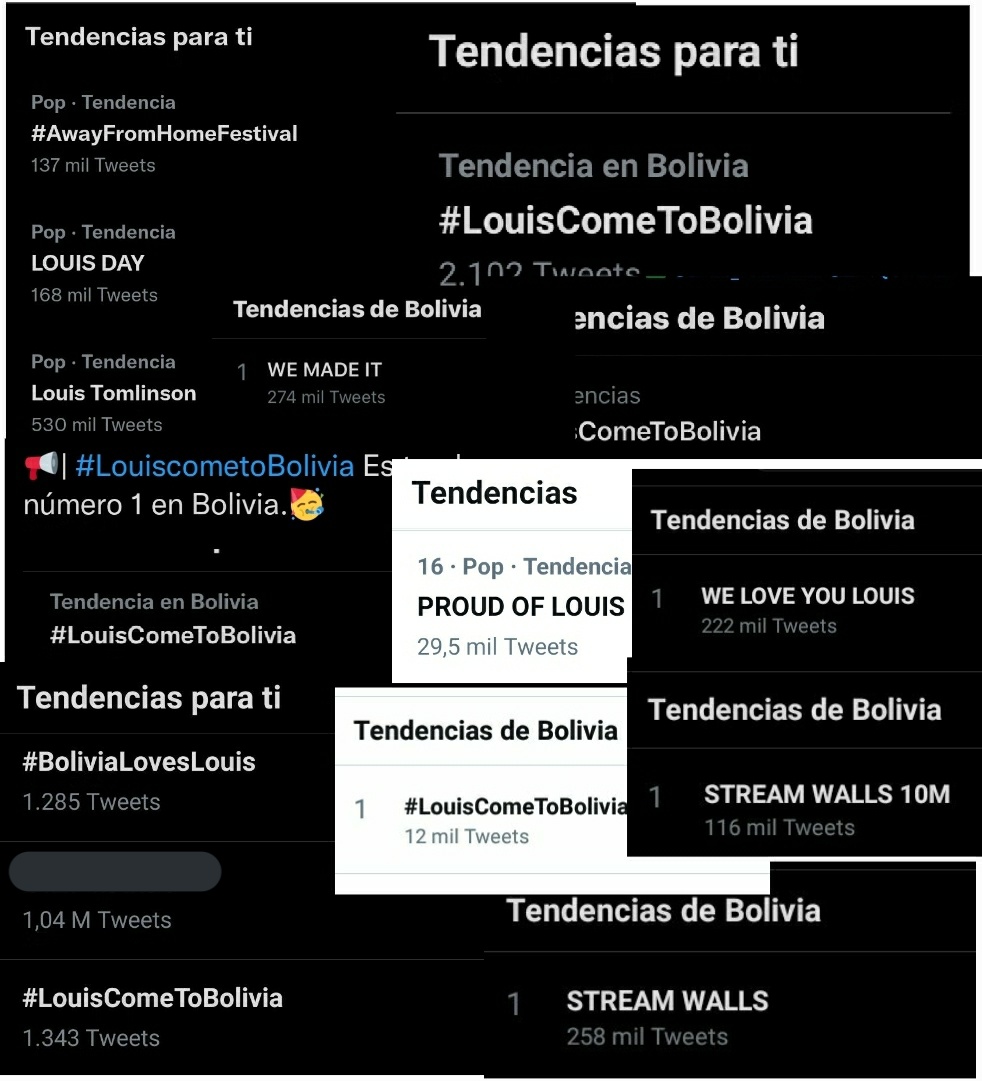 louthebrvest's tweet photo. Since 2019 in Bolivia we have been doing projects hoping Louis give us a date, and we have gotten the following results, Bolivia deserves a date for LT World Tour too 🇧🇴
@Louis_Tomlinson @LTHQOfficial https://t.co/f011qjvnyd