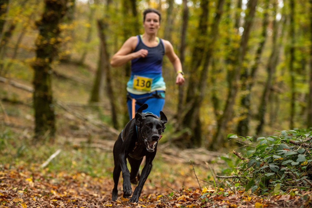 k9_runner's tweet photo. Milly &amp; I returned from France after a challenging week of racing at the #tropheesudbourgogne our first multi stage event for a few years. Despite what the photos show; conditions were very muddy ! Great to be back racing, 8 stages &amp; 6 different trail locations. #canicross https://t.co/OnjnMlF62M
