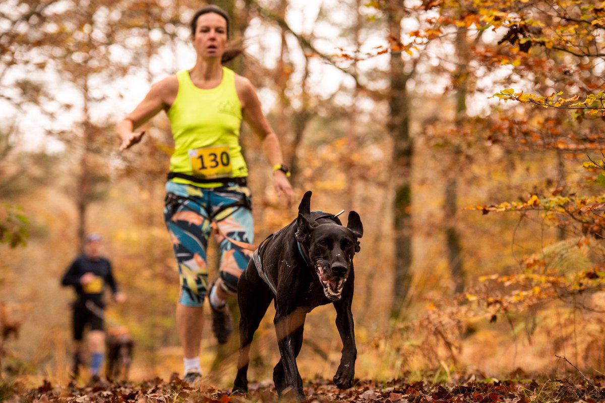 k9_runner's tweet photo. Milly &amp; I returned from France after a challenging week of racing at the #tropheesudbourgogne our first multi stage event for a few years. Despite what the photos show; conditions were very muddy ! Great to be back racing, 8 stages &amp; 6 different trail locations. #canicross https://t.co/OnjnMlF62M