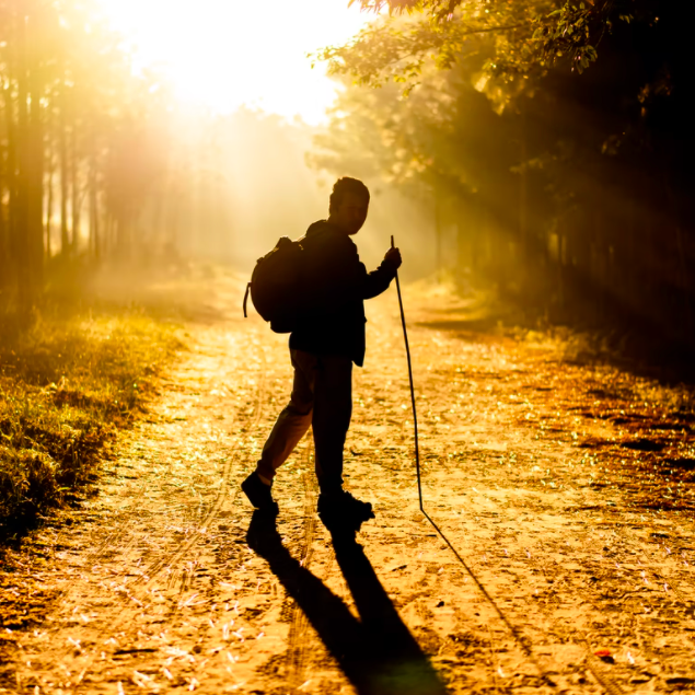 RecommendMeApp's tweet photo. 🥾 The Adventurers Walking Club
Saturday | @TheraTrust | FREE

Join us every Saturday, exploring green &amp; urban spaces around London.

Activity for adults with a Learning Disability and/or Autism who are residents in Camden &amp; Islington aged 18+ 

Sign up > https://t.co/JAxKzfkdXN https://t.co/Ee3Cd1lMdq