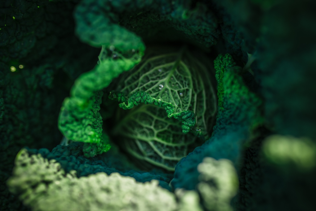 It's week three of the Late Season CSA!! Don't forget to pick up TODAY (Wednesday) instead of tomorrow!