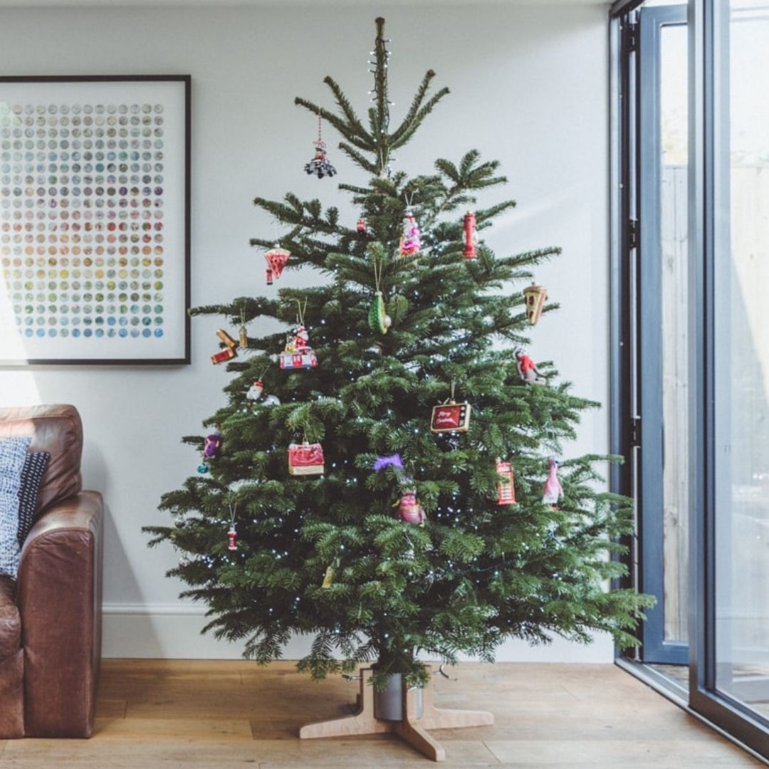 Clickmas Trees tweet media