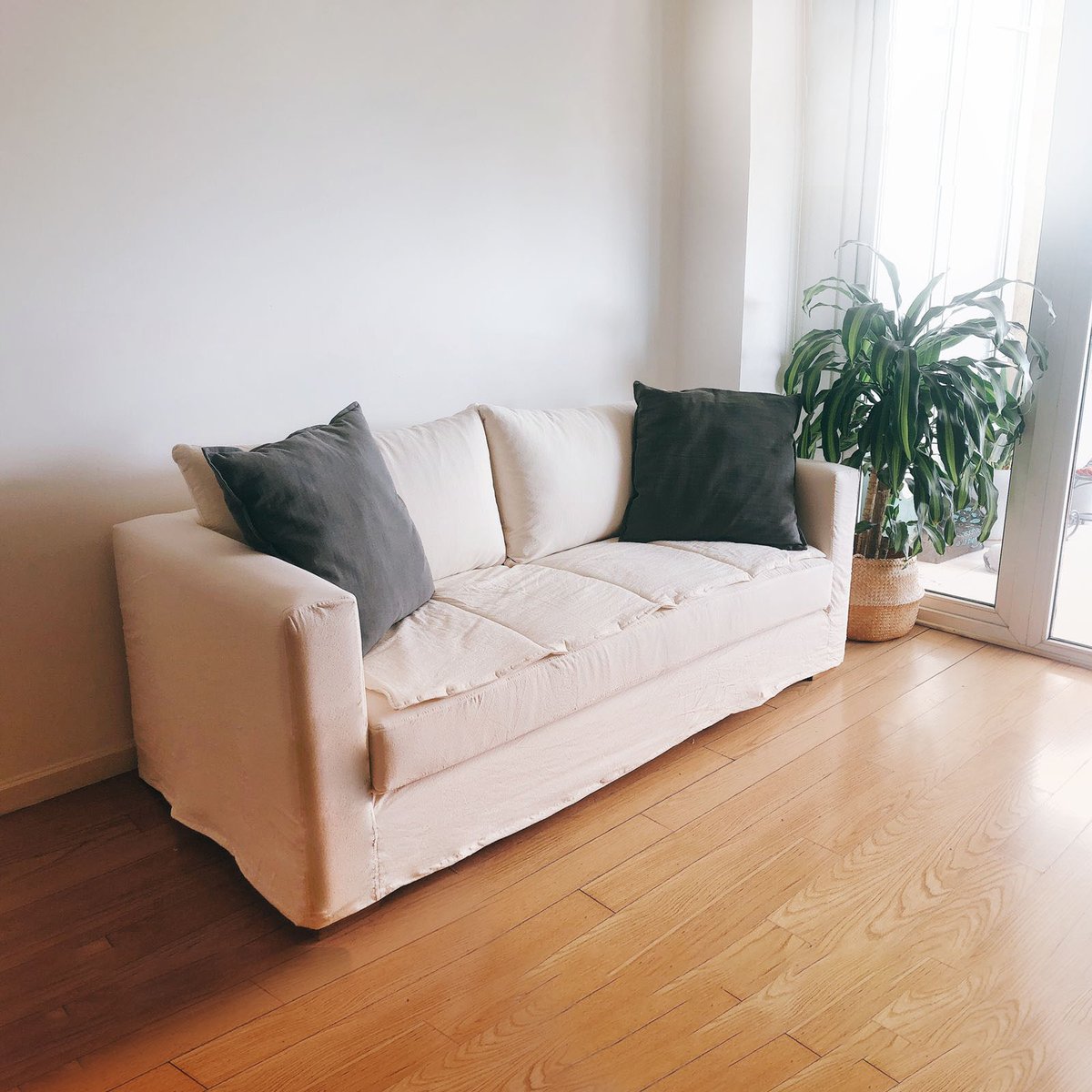 Diamante Sillones tweet media