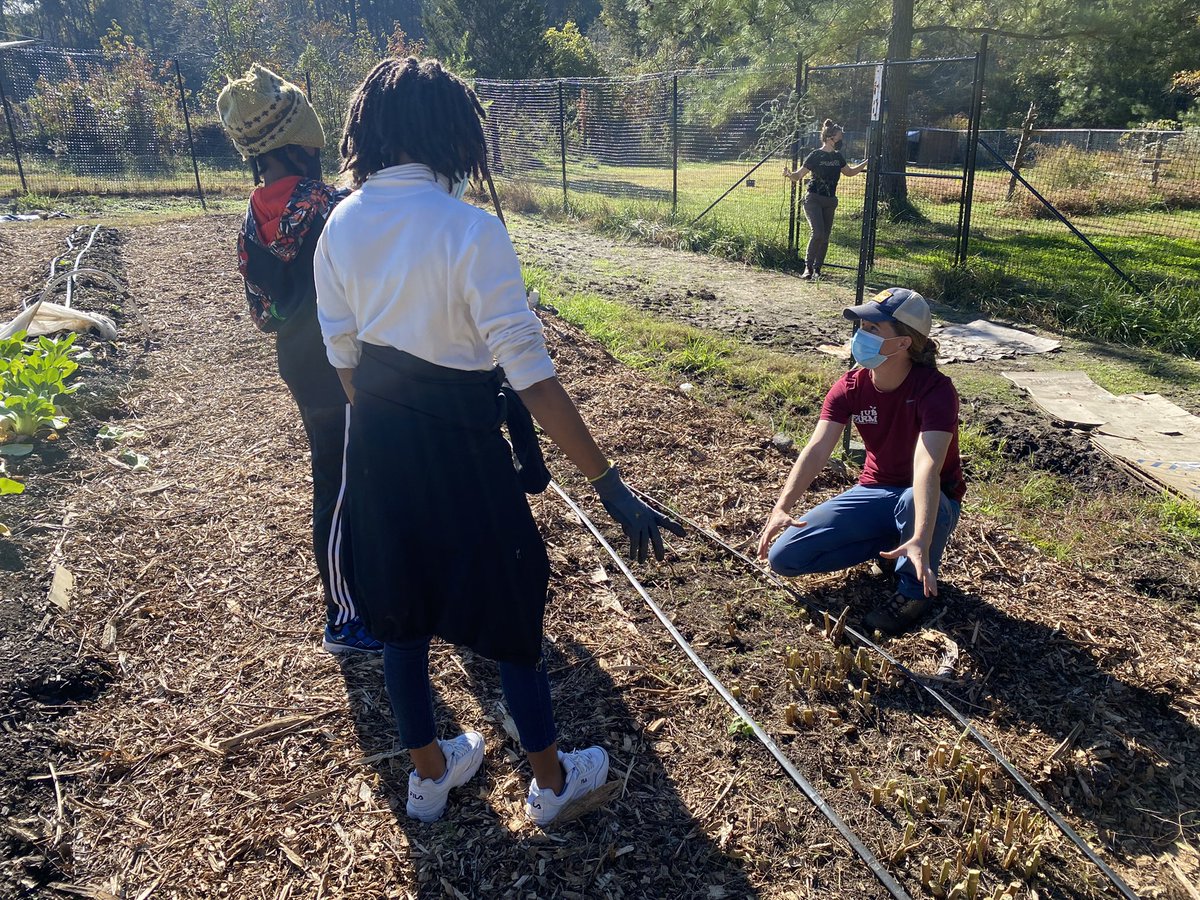 IgniteOnlineDPS's tweet image. Ignite! students are hard at work learning about composting, nutrients, and the life cycles of vegetables. #IgniteOutdoors is getting our hands dirty and learning sustainability.