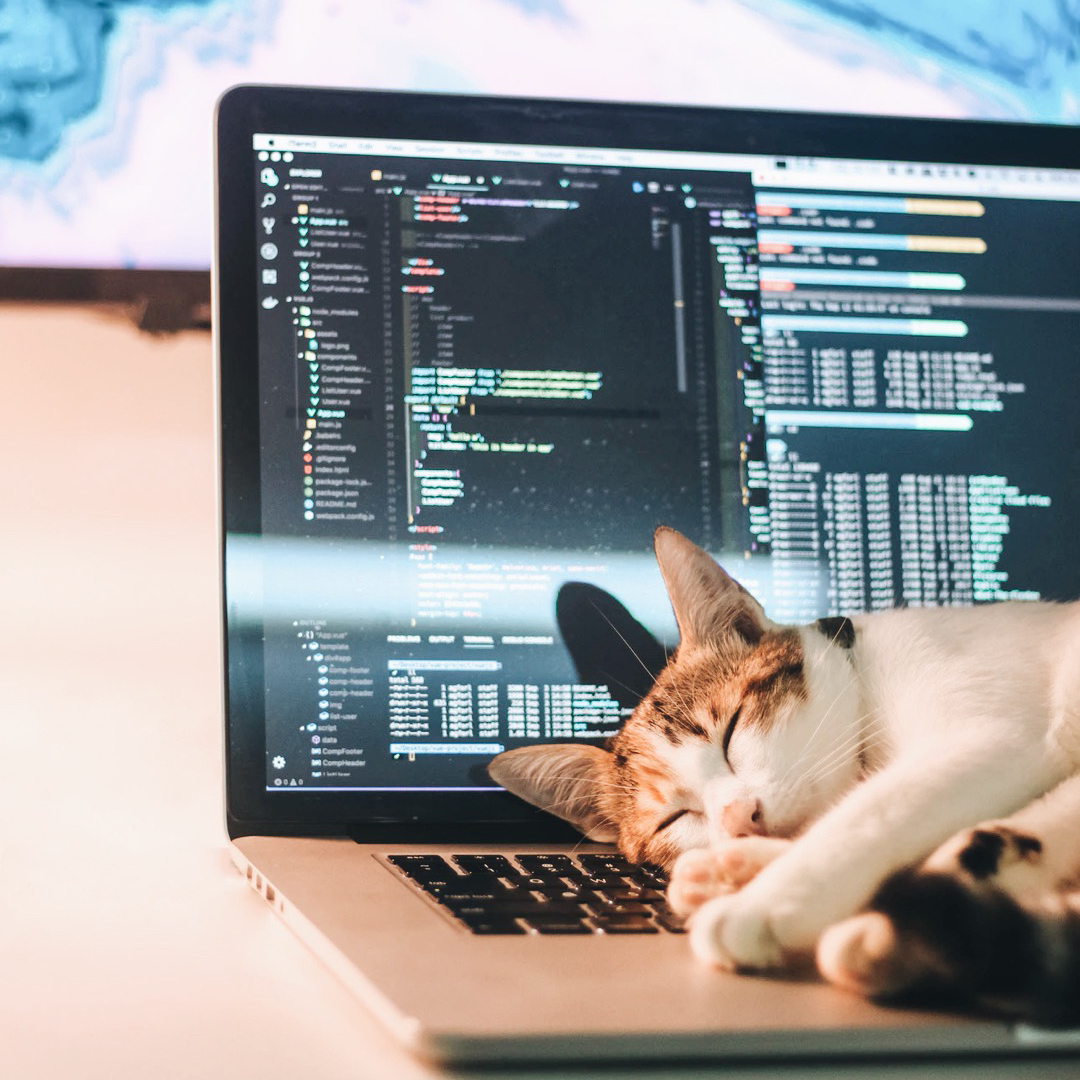 PrestoApi's tweet photo. Coding can get tiring, do you have a coding buddy?
#frontenddev #backenddev #nocode #codingnewbie #codenewbie #nocodetool #codingtool #prestoapi #websitedevelopment #appdevelopment #codingtips #100daysofcoding #100daysofcode #nocodetool #crudapi #restapi #coding #code #webdev https://t.co/I7aDi3p3el