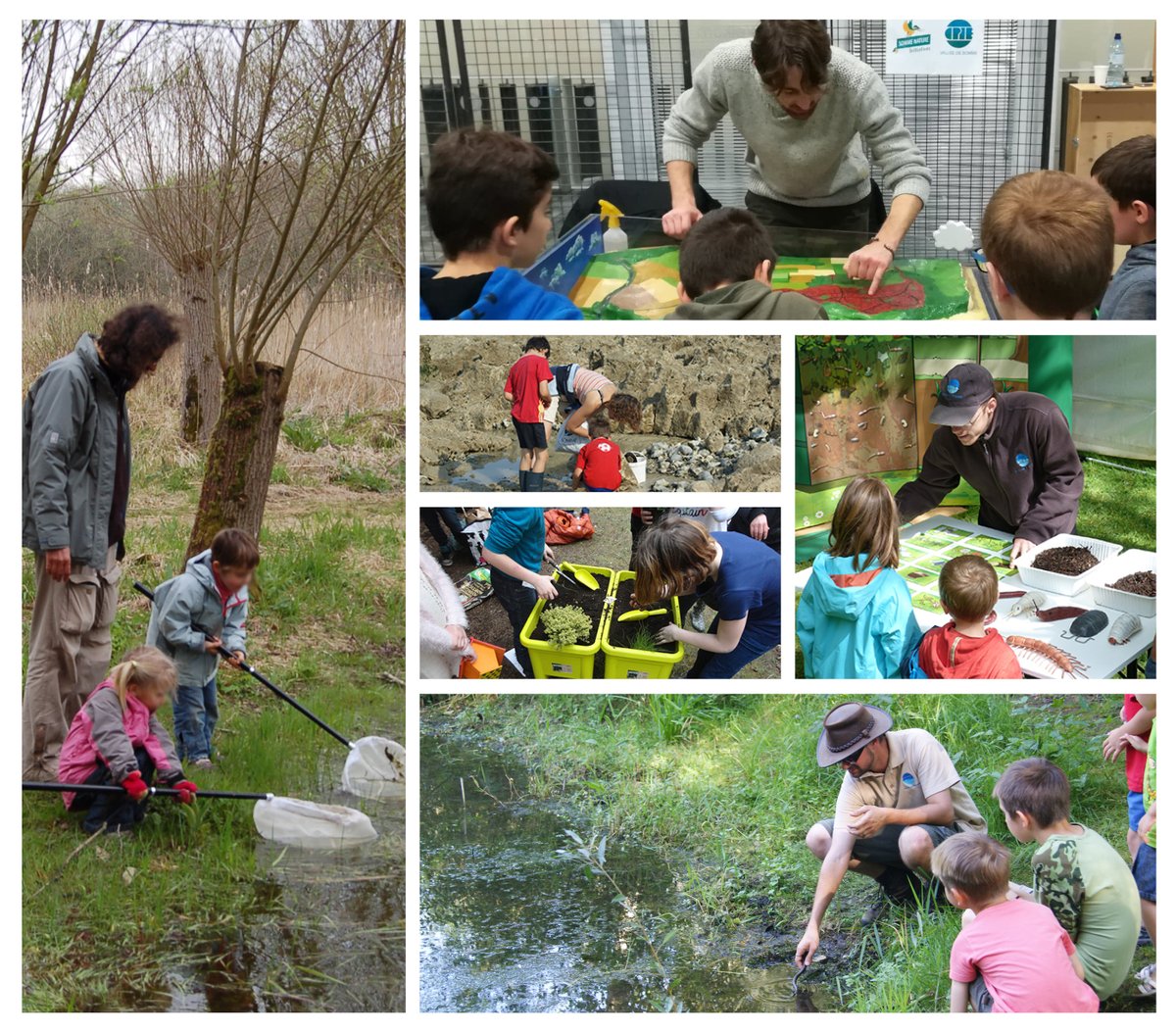 Depuis plus de 20 ans, nous avons sensibilisé plus de 500 000 jeunes aux problématiques écologiques et environnementales actuelles. Cette action est essentielle afin d’amorcer un changement de mentalité et de vision sur notre société et ses limites.