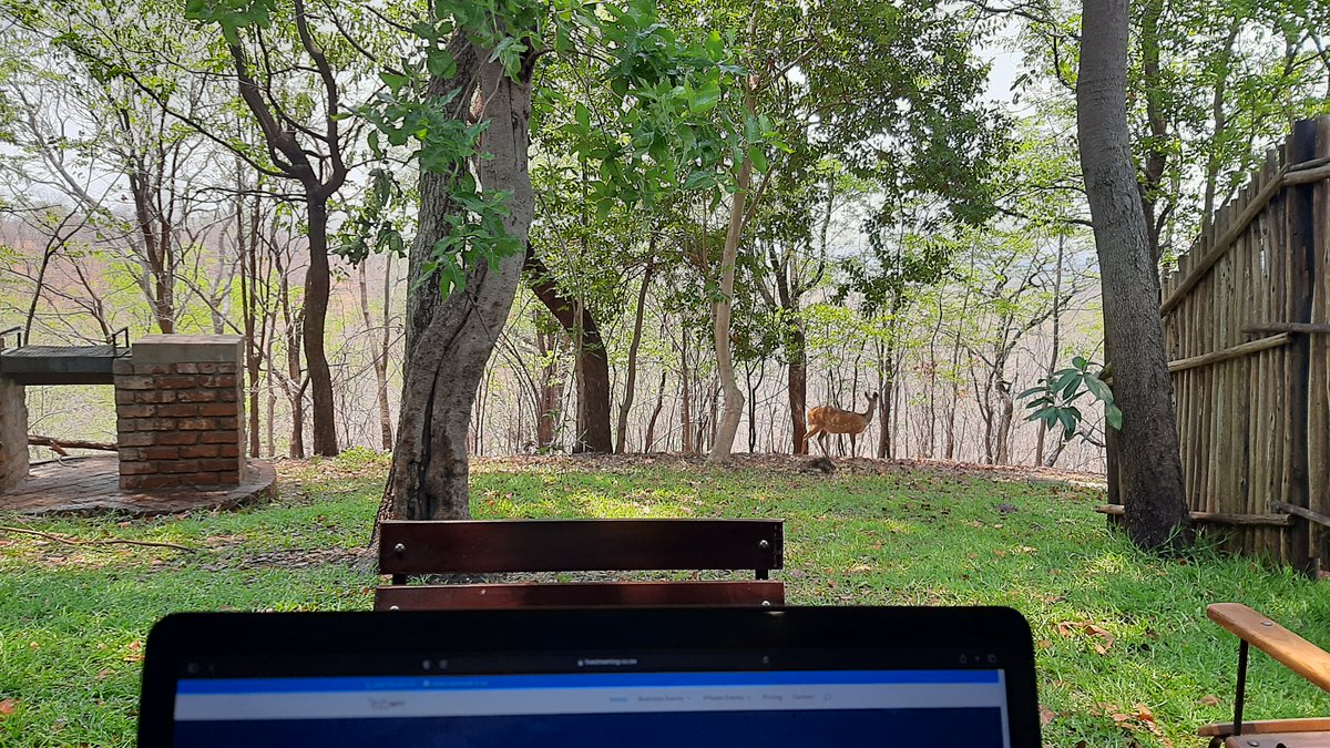 Joseph Bunga tweet media