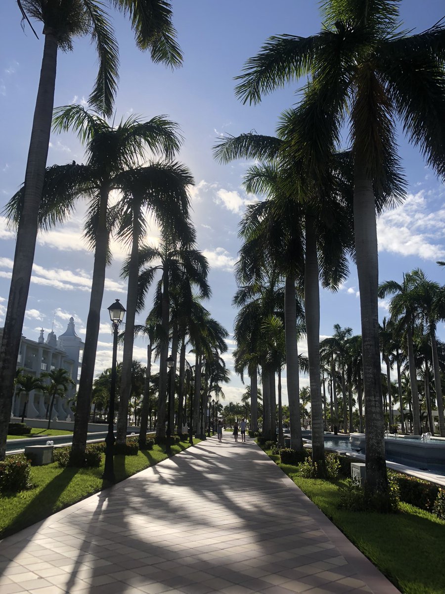 MariaCheda's tweet photo. A donde viajes del mundo hazte con un @RiuHoteles recomendado, SIEMPRE, por @virginiacasado. La mejor anfitriona y comunicadora. Sentirse como en casa. ❤️🇲🇽 https://t.co/Wcu60j5Gk2