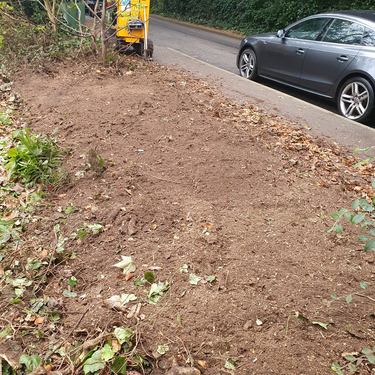 TreeGrinding's tweet photo. Tree stump grinding a row of hedgerow tree stumps in East Bergholt, Suffolk. Here you can see the before and after pictures, there was plenty of ivy between the tree stumps. #Treestumpgrinding #treestumpremovals #EastBergholt #Colchester #stumps #Suffolk https://t.co/6Yx8mL7nl3