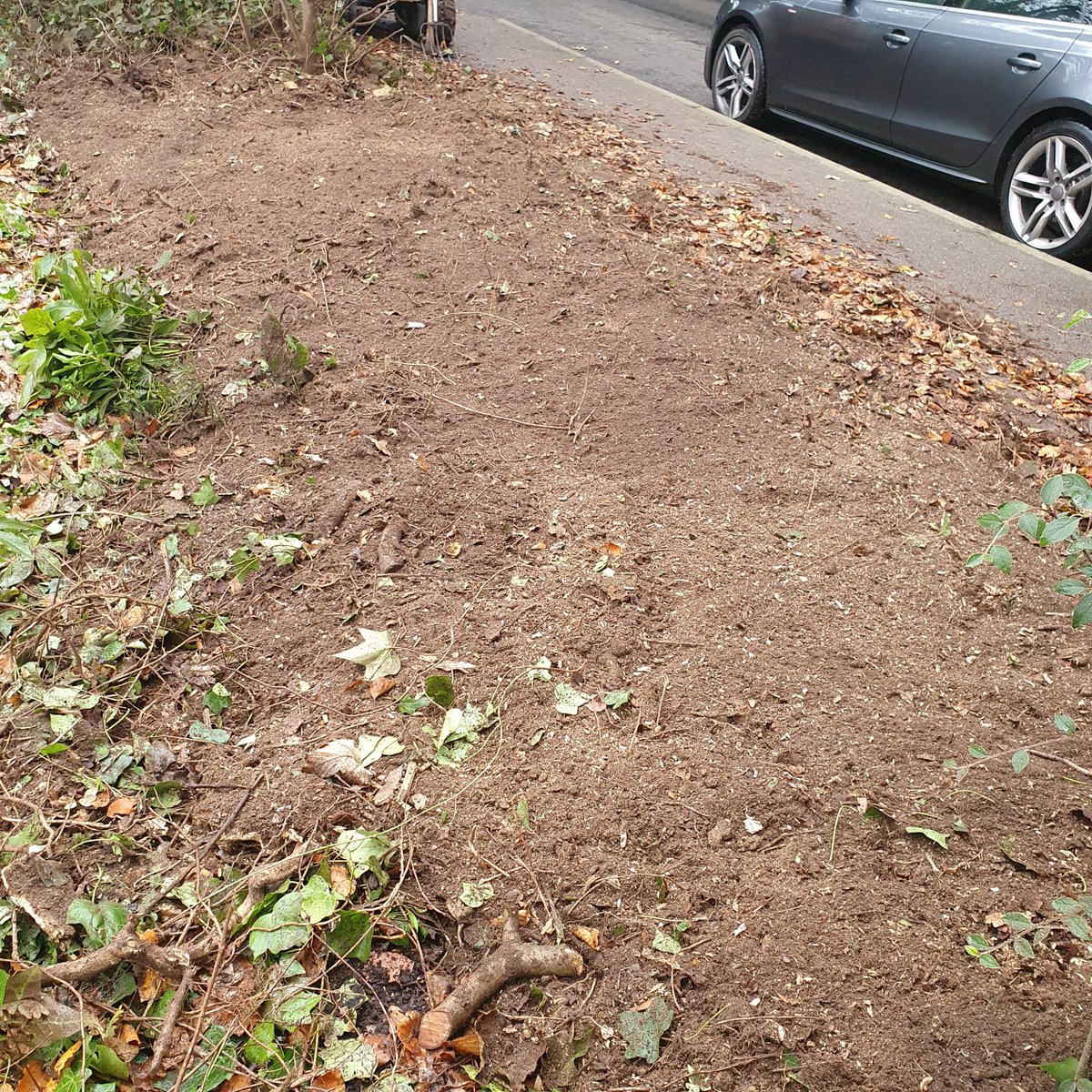 TreeGrinding's tweet photo. Tree stump grinding a row of hedgerow tree stumps in East Bergholt, Suffolk. Here you can see the before and after pictures, there was plenty of ivy between the tree stumps. #Treestumpgrinding #treestumpremovals #EastBergholt #Colchester #stumps #Suffolk https://t.co/6Yx8mL7nl3