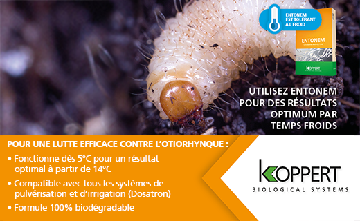 Koppert_France's tweet photo. Avec #Entonem, luttez contre les ravageurs même à basses températures !
Cette formule 100% biodégradable fonctionne dès 5°c pour un résultat optimal à partir de 14°c.
#Entonem #Biosolution #Biocontrole #Nématodes #KoppertFrance #Koppert #Froid https://t.co/WL5UXr2Sza