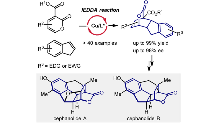 Catalytic Asymmetric Inverse-Electron-Demand Diels-Alder Reactions of 2-Pyrones with Indenes: #TotalSynthesis of Cephanolides A and B (Cai) onlinelibrary.wiley.com/doi/10.1002/an…