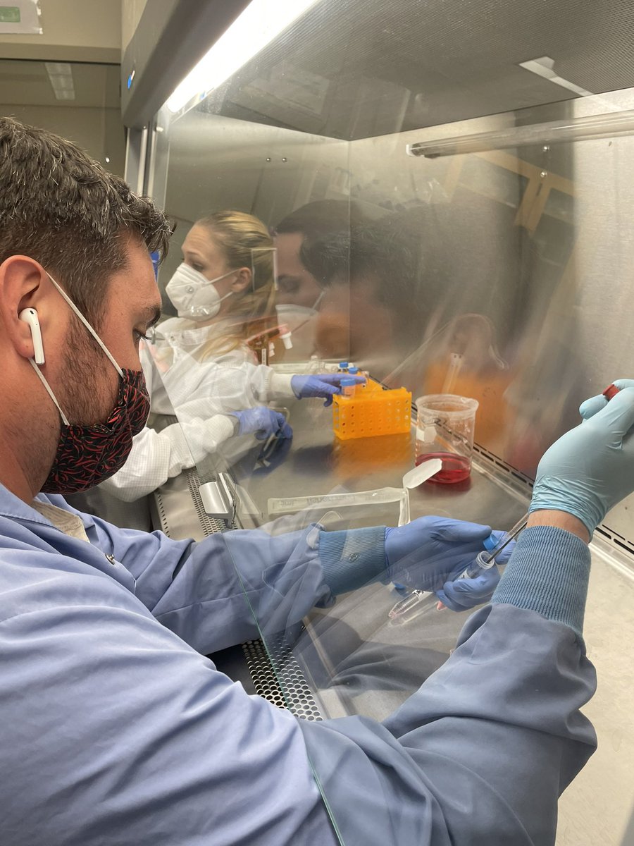 nbournia's tweet photo. #cellculturelab madness https://t.co/0CPr64AGni