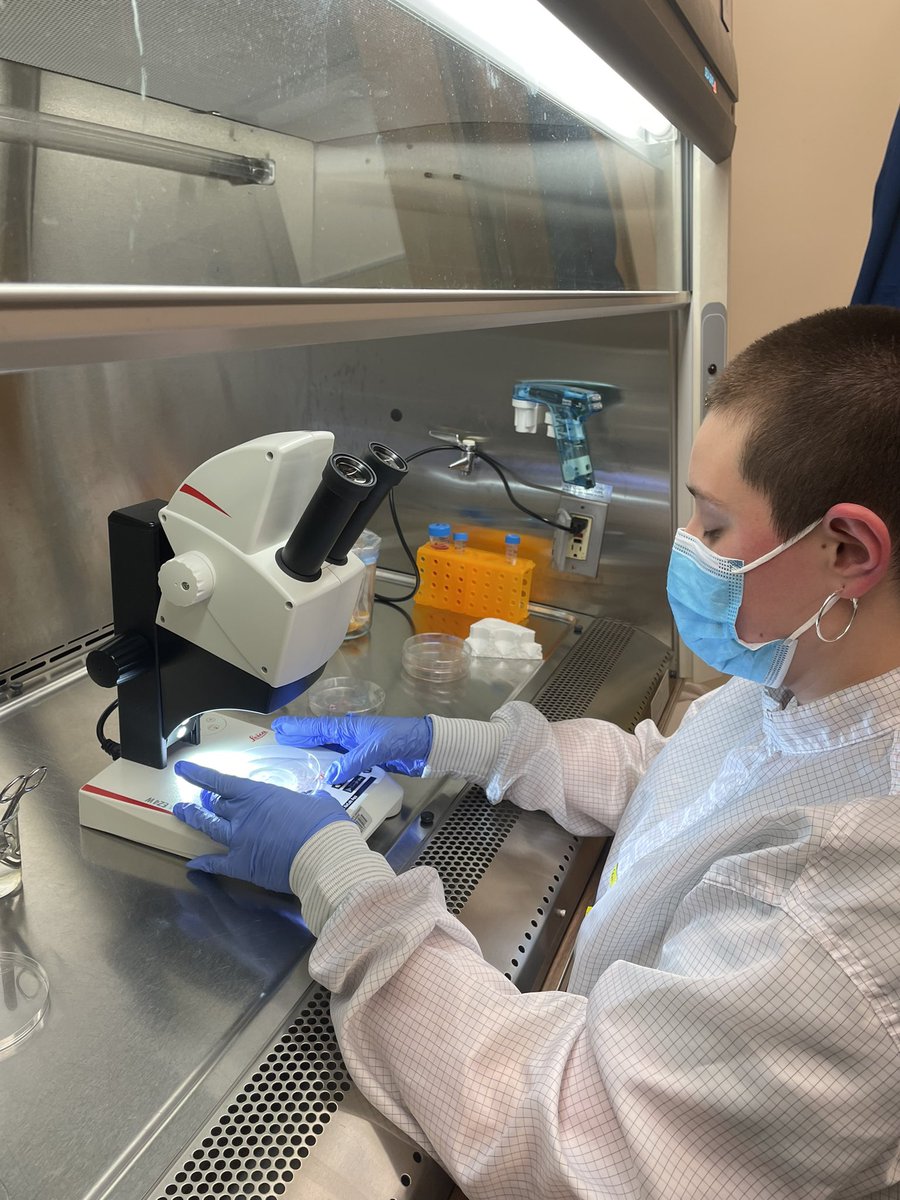 nbournia's tweet photo. #cellculturelab madness https://t.co/0CPr64AGni