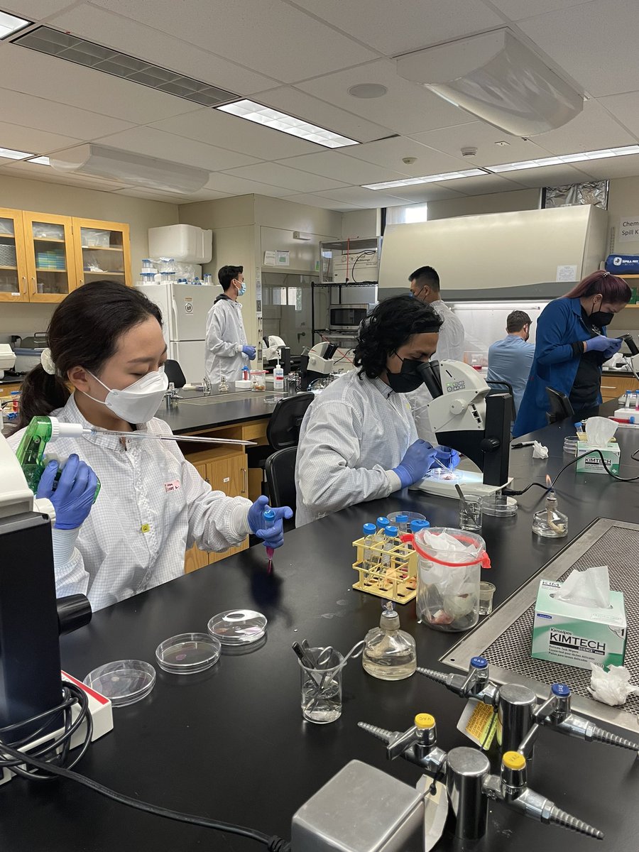 nbournia's tweet photo. #cellculturelab madness https://t.co/0CPr64AGni