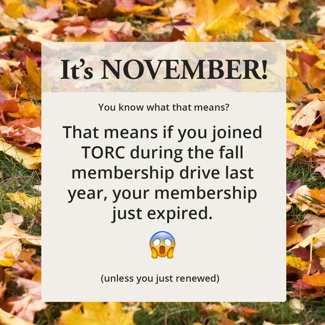 TORC_NC's tweet photo. Membership is the best way to help get more trails, so stay with us!

https://t.co/bf6BiUwtP7 https://t.co/cFdlXoNdDL
