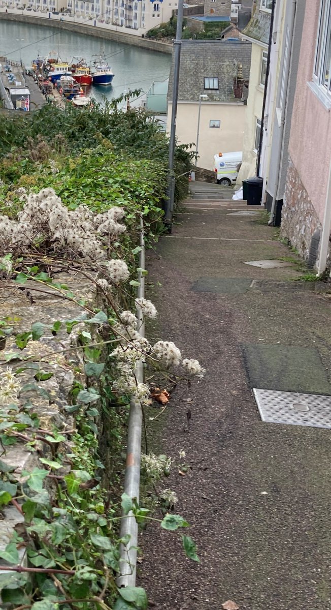 brixhamtc's tweet photo. LENGTHSMEN UPDATE
The 'never-ending' Overgang Steps got a well deserved trim this week, not easy work but we're sure you'll agree well worth the effort - and what a view π
#lengthsmen #keepbrixhambeautiful #makingitsafe #whataview #brixham #fishtown https://t.co/AgRCTi7Poy