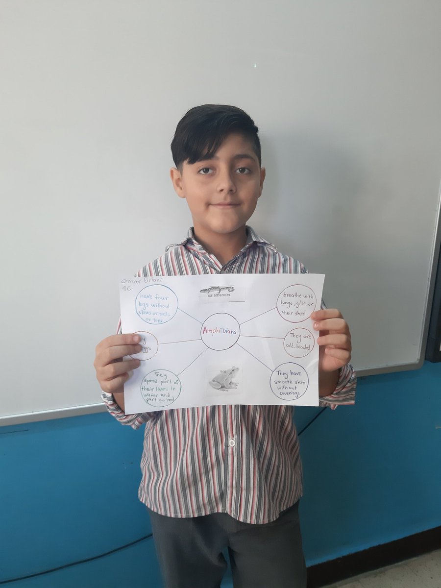 MiraElZarif's tweet photo. I love it when my students show me small projects like this one. Little efforts always go a long way! Thank you Omar, super proud! #ngss #science #grade4 #amphibian @nelakhdar @MakAishaSchool https://t.co/HmAyNX1vGz