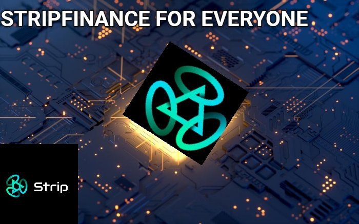 Paraclate1's tweet photo. #StripFinance🚀🚀 Interesting to be aware that #Stripfinanceis Is building a collateralised NFT borrowing and lending marketplace that would be launched on Binance Smart Chain? Interesting right.. Stay Tuned #Stripquad $STRIP https://t.co/NlQGQw8EUs