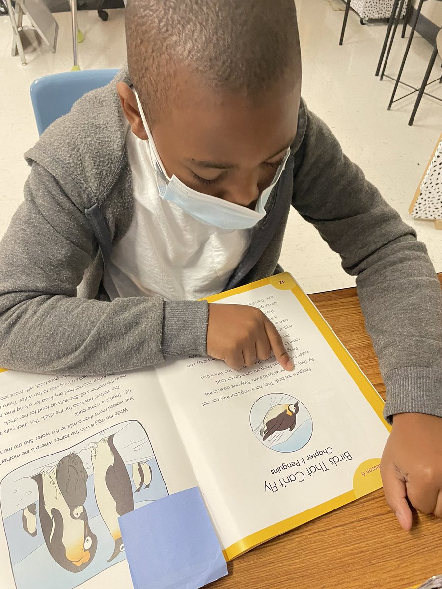 Reading about penguins! 🐧 #KnowledgeMatters #DecodableText