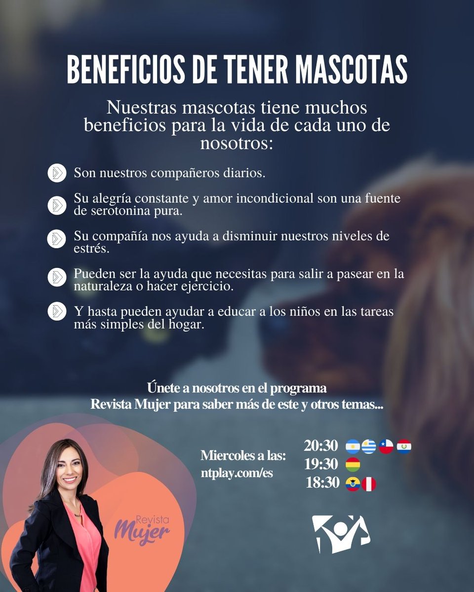 tvnuevotiempo's tweet photo. 😄 ¿Qué mascota tienes en tu hogar?
👉 Únete a nosotros en revista mujer para saber más de los asombrosos beneficios de nuestra animalitos en casa…
🔴Todos los miércoles a las:
20:30 🇦🇷🇺🇾🇵🇾🇨🇱
19:30 🇧🇴
18:30🇪🇨🇵🇪
#revista #mujer #magazine #familia #profecionales #finanzas https://t.co/1R3odalbVZ