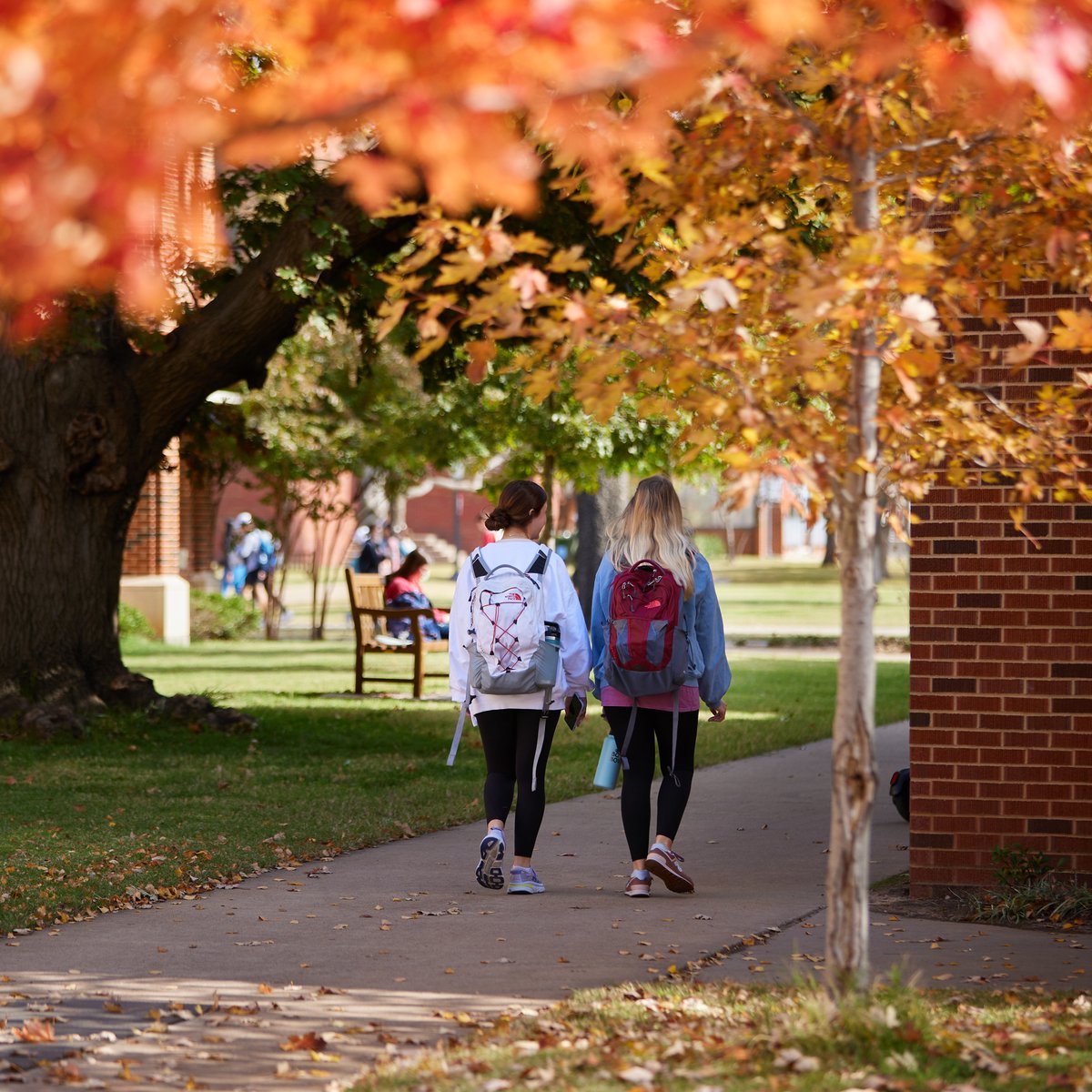 UofOklahoma's tweet photo. Fall on campus year-round, please. 😍🍂 https://t.co/hOgrUoTl0B