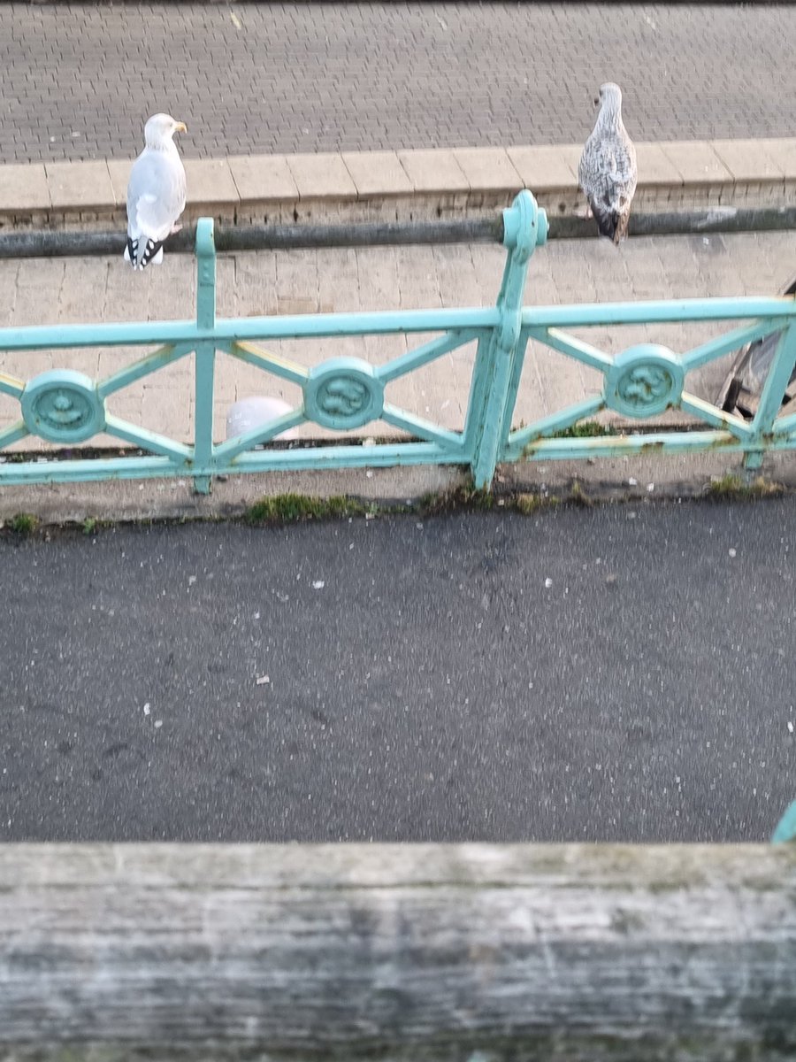 thesnakestweet's tweet photo. Ja Mata Brighton and Base Conference 2021! It's been fun but time to fly like a bird or two as the case may be. #baseconf https://t.co/NMv76UVTrD