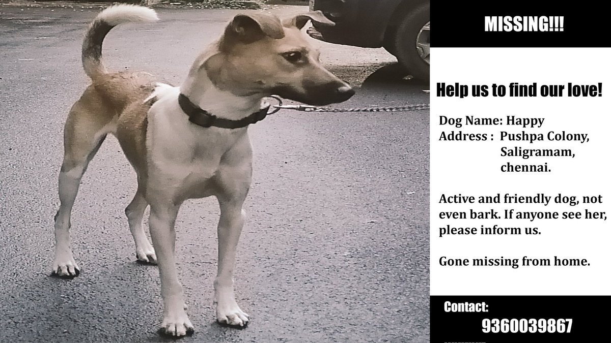 AparnaKarthi's tweet photo. #Chennai, please do your magic, pls help find this beautiful girl dog, Happy. 
She's gone missing in Saligramam. Her family is really keen to find her, pls, PLS spread the word and find her? 
Details in the pic. 
Pls RT.
Pls help. 
🙏🏽🙏🏽🙏🏽🙏🏽
@NilavuMozhi https://t.co/dBvPgqoFc9