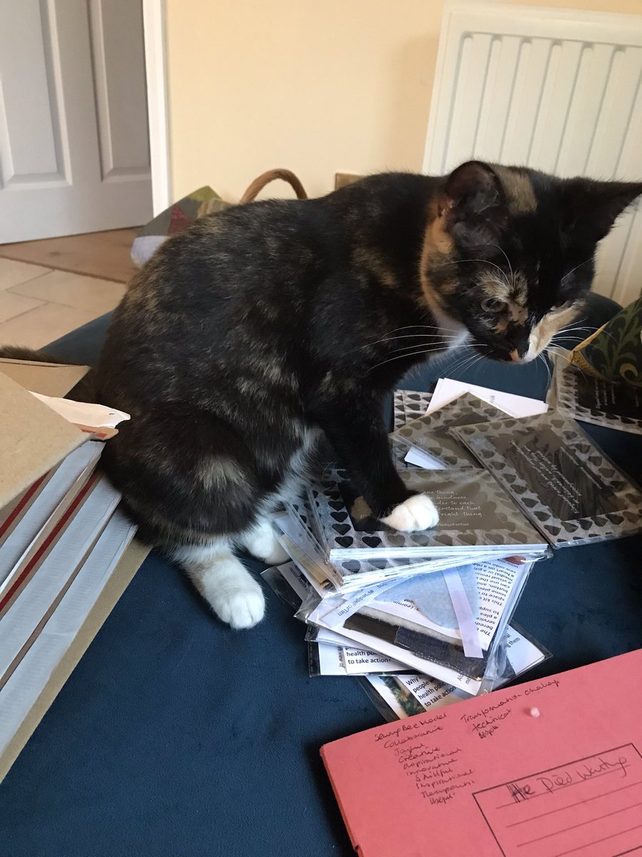 waiting_he's tweet photo. I had help this morning when parcelling up #HeDiedWaiting books and postcards. #NotHelp #Kittens #SocialWorkPets https://t.co/tIz0jW9wjA