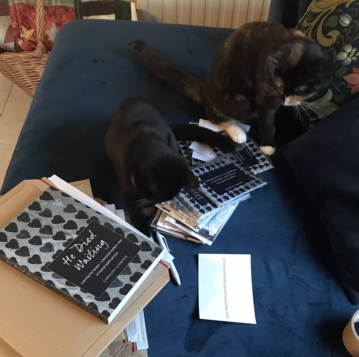 waiting_he's tweet photo. I had help this morning when parcelling up #HeDiedWaiting books and postcards. #NotHelp #Kittens #SocialWorkPets https://t.co/tIz0jW9wjA