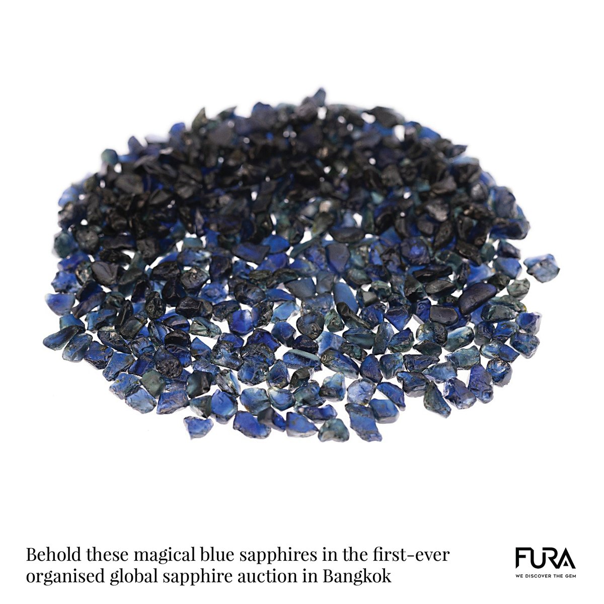 furagems's tweet photo. Behold these magical blue sapphires in the first-ever organised global sapphire auction in Bangkok.

#Furagems #Sapphire #Auction #Sapphireauction #announcement #SriLanka #Colombo #Thailand #Chantaburi #Jaipur #India #shanghai #Beijing #shenzen #melbourne #Sydney #Brisbane https://t.co/cqRjhIsANa