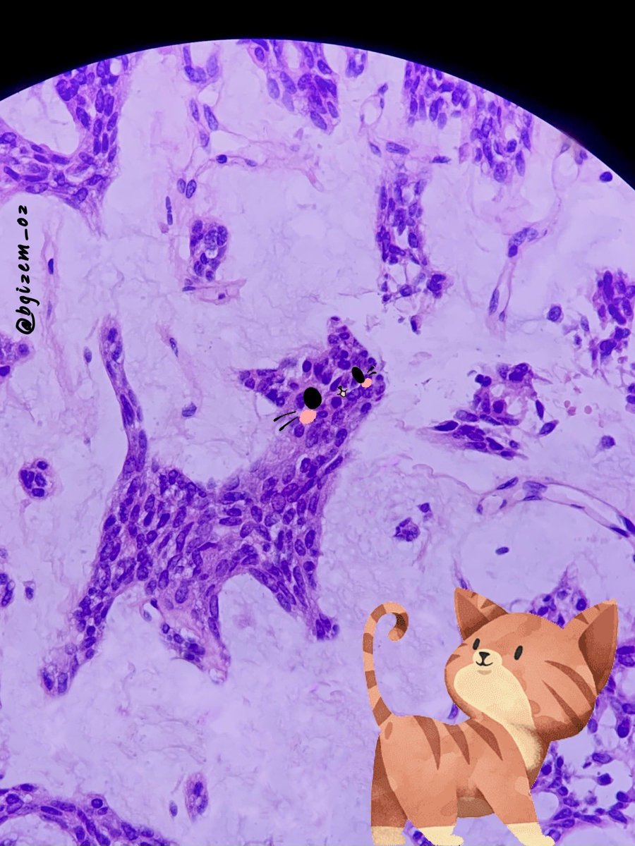 #pathart #InternationalPathologyDay #pathtwitter